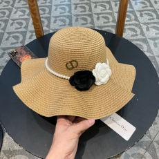 Christian Dior Caps